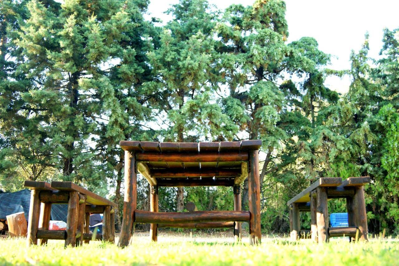 Simplicity At Iris Accommodation Psakoudia Dış mekan fotoğraf