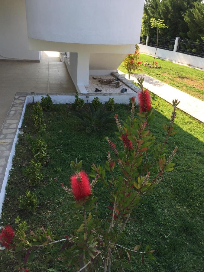 Simplicity At Iris Accommodation Psakoudia Dış mekan fotoğraf